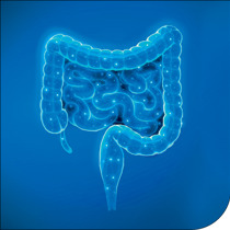 Viepro 1125 Cancercolon Thumb